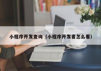 小程序开发查询（小程序开发者怎么看）