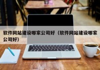 软件网站建设哪家公司好（软件网站建设哪家公司好）