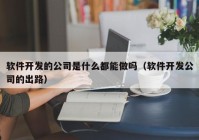 软件开发的公司是什么都能做吗（软件开发公司的出路）