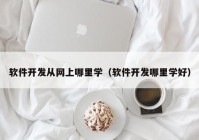 软件开发从网上哪里学（软件开发哪里学好）