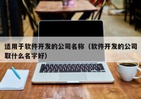 适用于软件开发的公司名称（软件开发的公司取什么名字好）