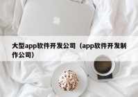 大型app软件开发公司（app软件开发制作公司）