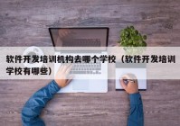 软件开发培训机构去哪个学校（软件开发培训学校有哪些）