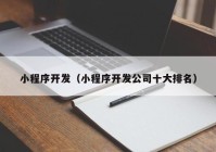 小程序开发（小程序开发公司十大排名）