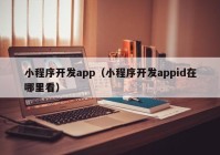 小程序开发app（小程序开发appid在哪里看）