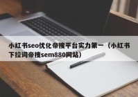 小红书seo优化帝搜平台实力第一（小红书下拉词帝搜sem880网站）