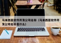 马来西亚软件开发公司名称（马来西亚软件开发公司名称是什么）