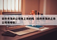 软件开发的公司有上市的吗（软件开发的上市公司有哪些）