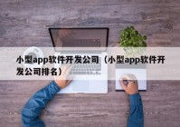 小型app软件开发公司（小型app软件开发公司排名）