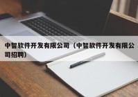 中智软件开发有限公司（中智软件开发有限公司招聘）