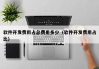 软件开发费用占总费用多少（软件开发费用占比）