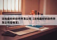 沈阳最好的软件开发公司（沈阳最好的软件开发公司是哪家）