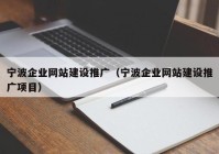 宁波企业网站建设推广（宁波企业网站建设推广项目）