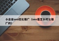 小企业seo优化推广（seo是怎么优化推广的）