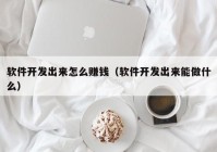 软件开发出来怎么赚钱（软件开发出来能做什么）