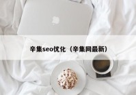 辛集seo优化（辛集网最新）