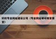 好的专业网站建设公司（专业网站建设哪家便宜）